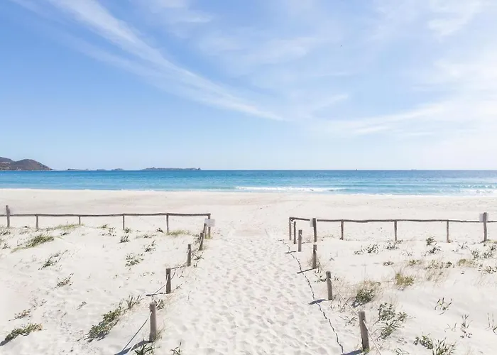 Bilo 3 וילסימיוס